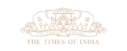 times of india logo